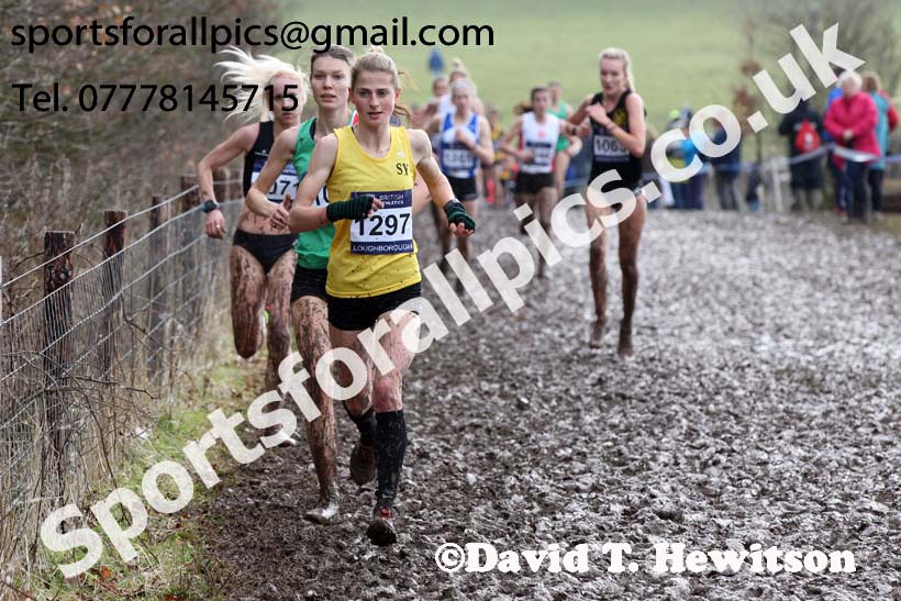 Senior womens 2018 British Inter Counties Cross Country Champs., Prestwold Hall, Loughborough. Photo: David T. Hewitson/Sports for All Pics